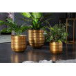  Edles 3er Set Blumen Ãbertopf ORIENT gold Vasen im Grid Hammerschlag Design 